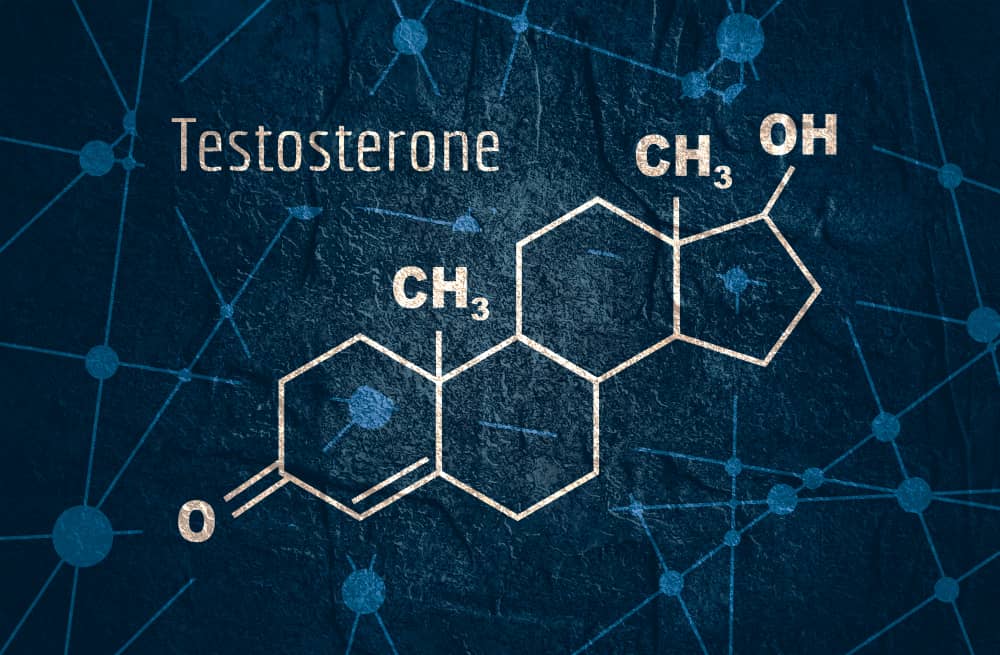 How to Increase Testosterone
