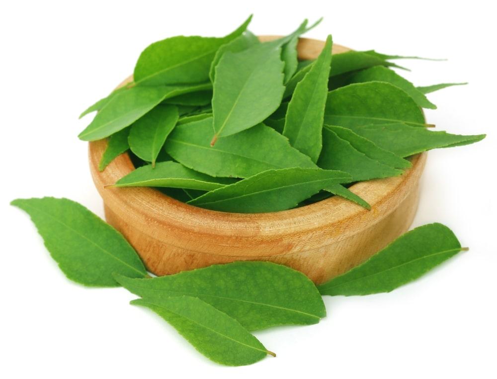 A Bowl of Curry Leaves