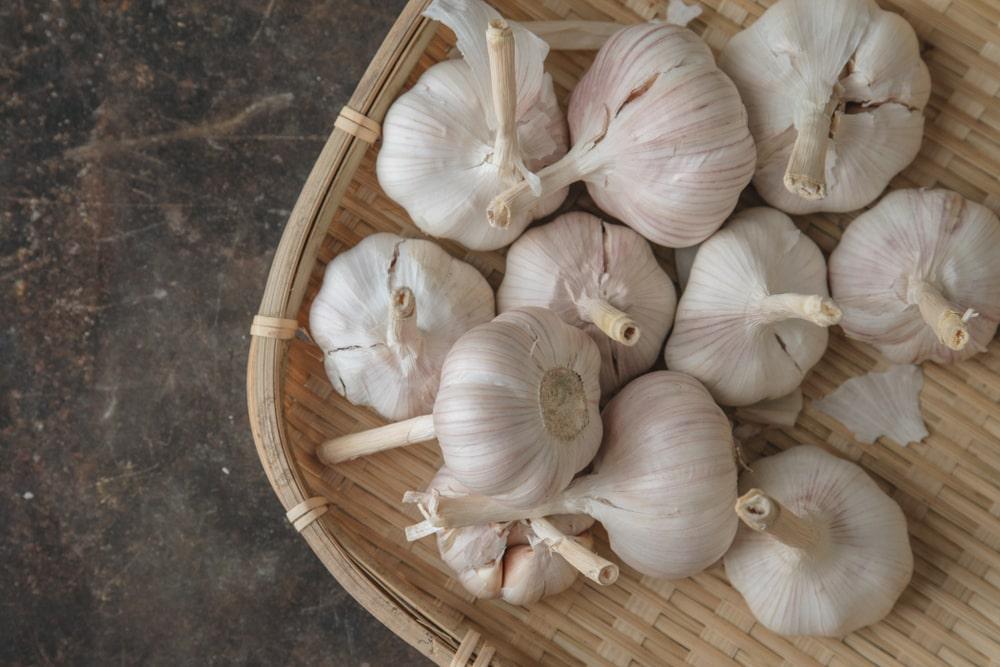 A Basket of Garlic