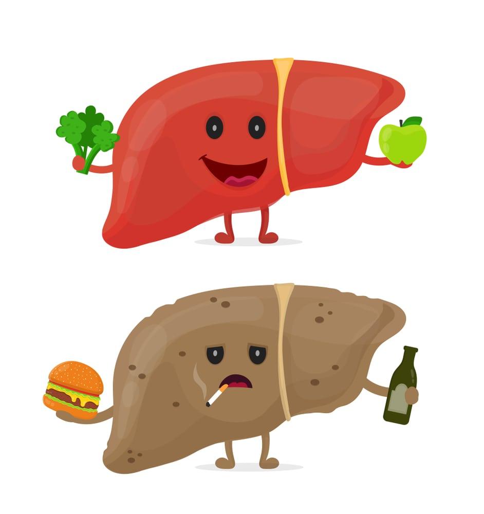 How Can You Improve Liver Function