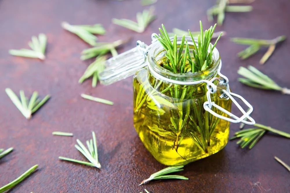 A Jar of Rosemary Oil