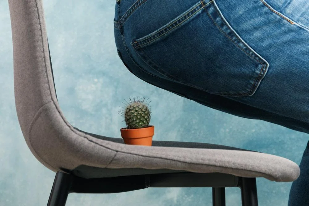 A person sitting down on a little cactus