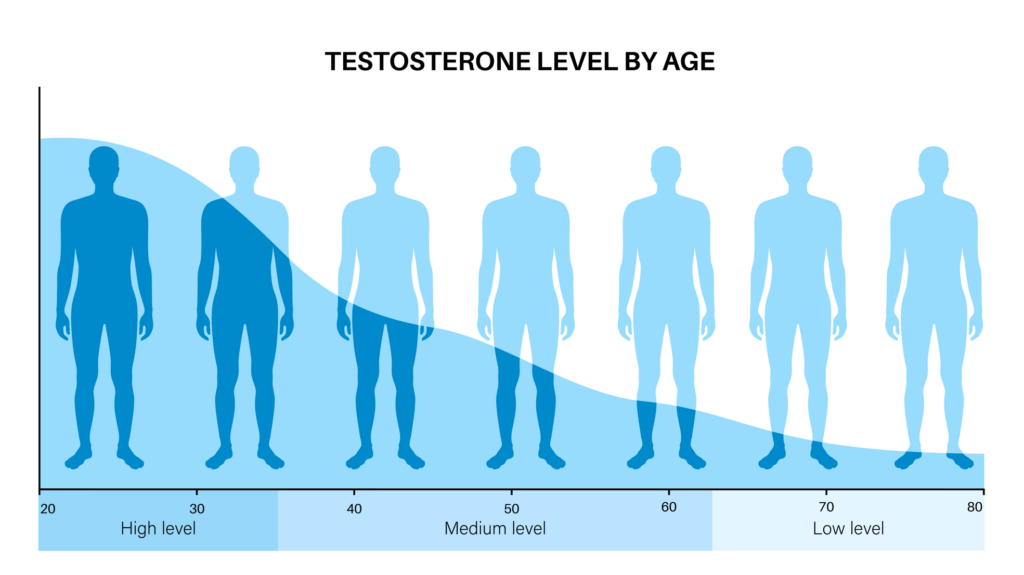 Testosterone Level by Age Diagram