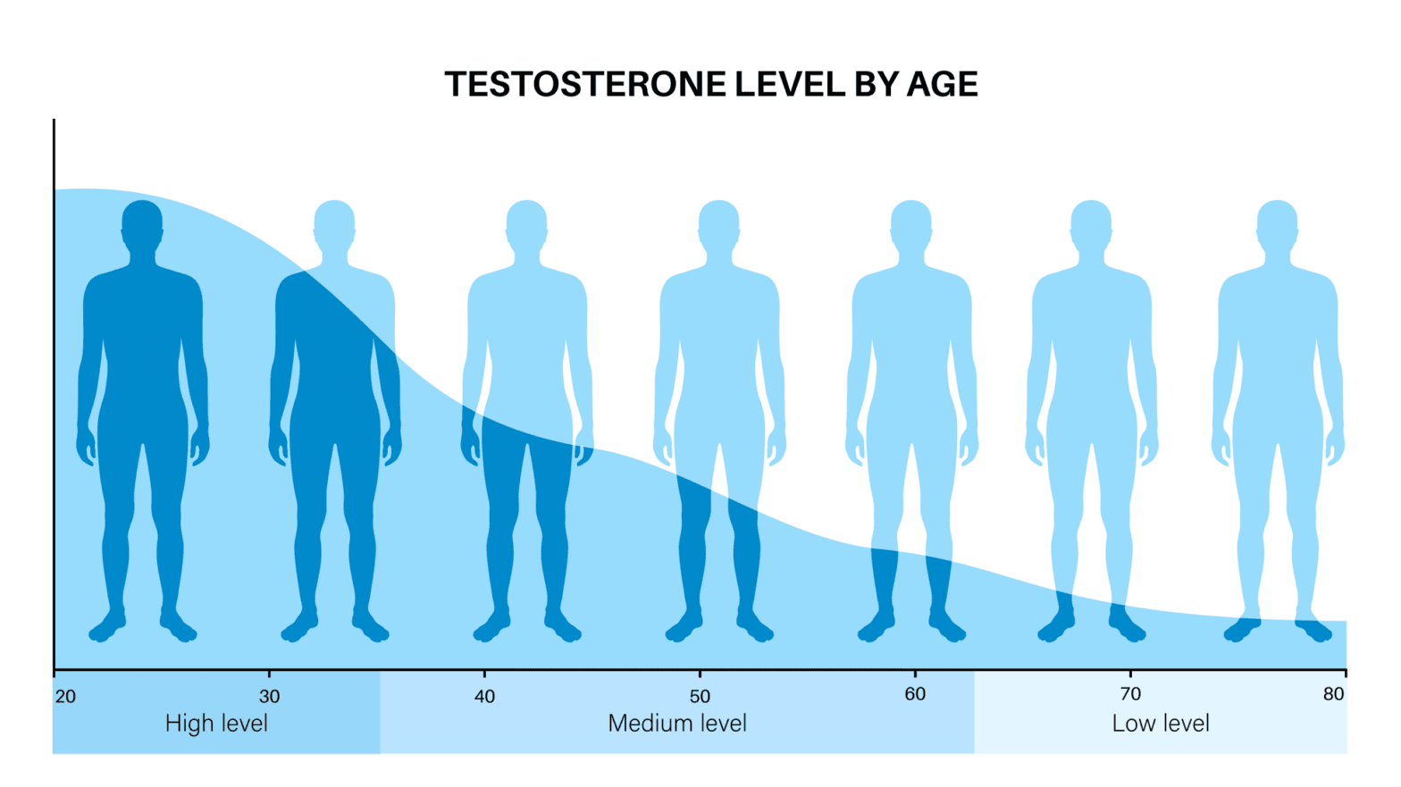 15 Foods that Boost Testosterone Maximize Your Hormone Levels