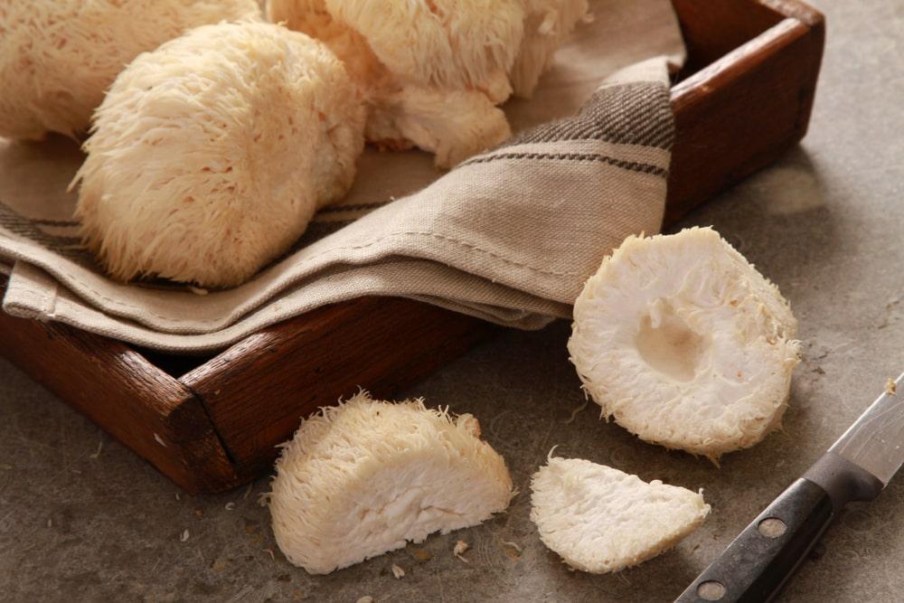 Lion’s Mane Mushrooms