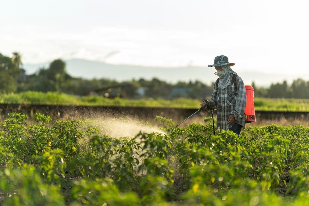 Farmer spraying pesticide-laden 