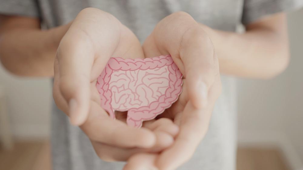 Hands Holding Intestine Shape Paper Cut