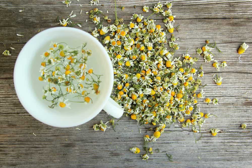 Chamomile Tea for Liver Detox