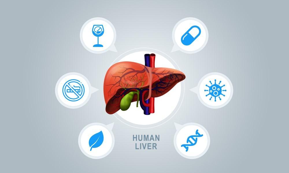 What Causes Liver Disease