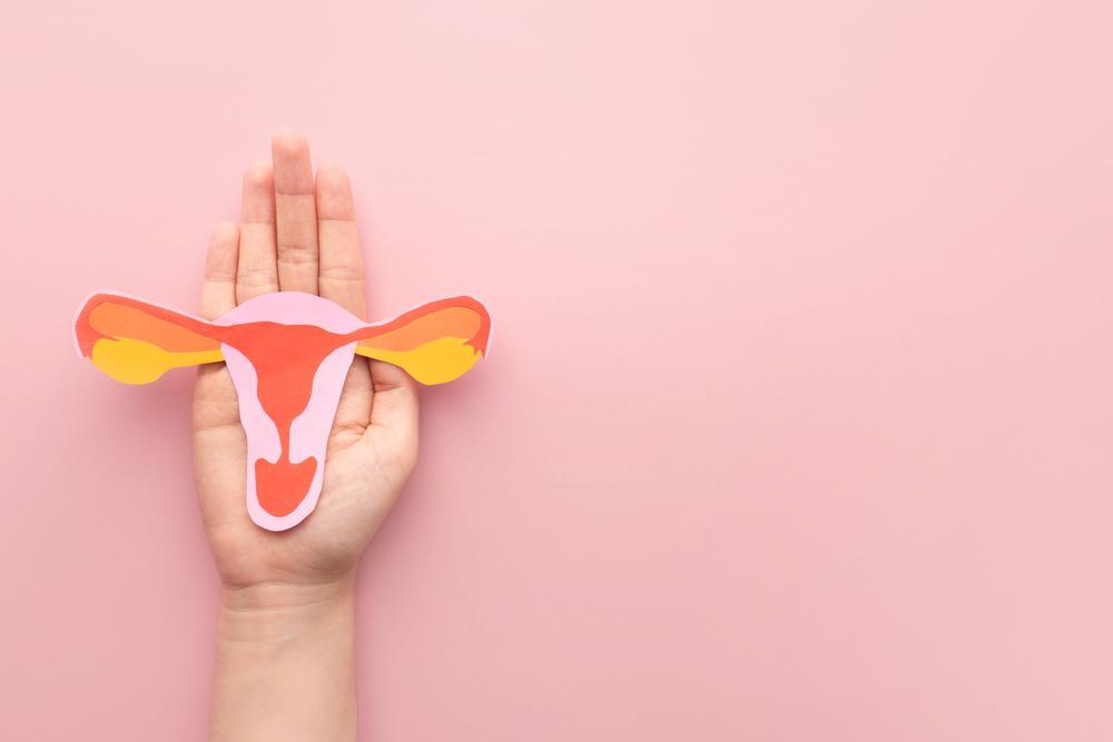 A Hand Holding a Paper Uterus