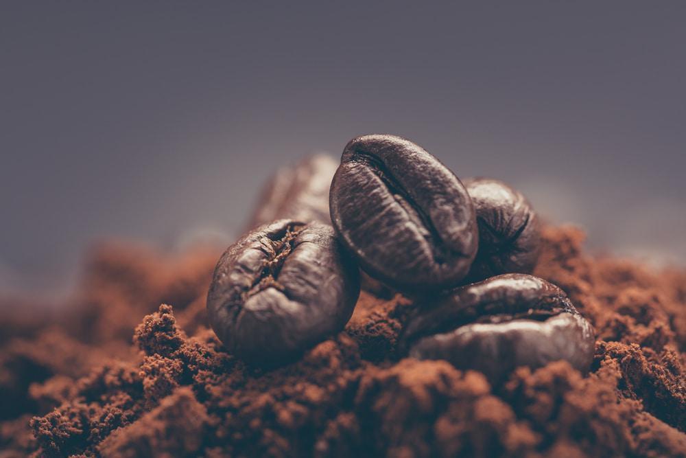 Coffee Beans on a Pile of Grinded Coffee