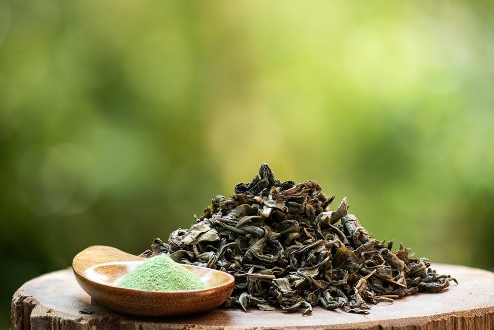 Dried Green Tea Leaves And Powder