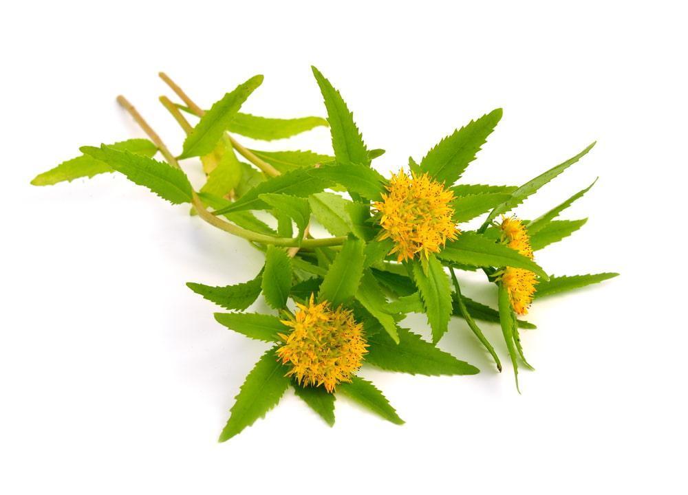 Medicine Herb Containing Magnesium
