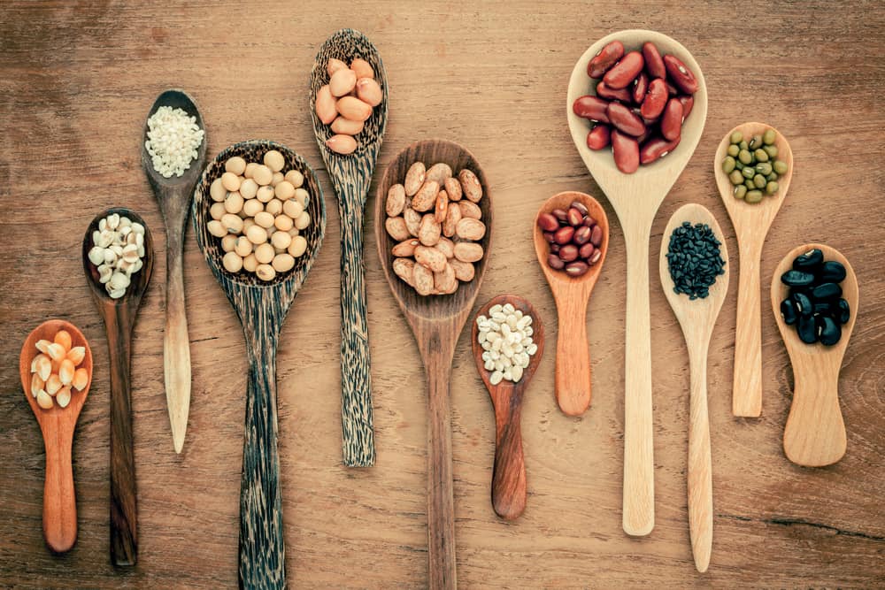 A Row of Various Beans in Wooden Spoons