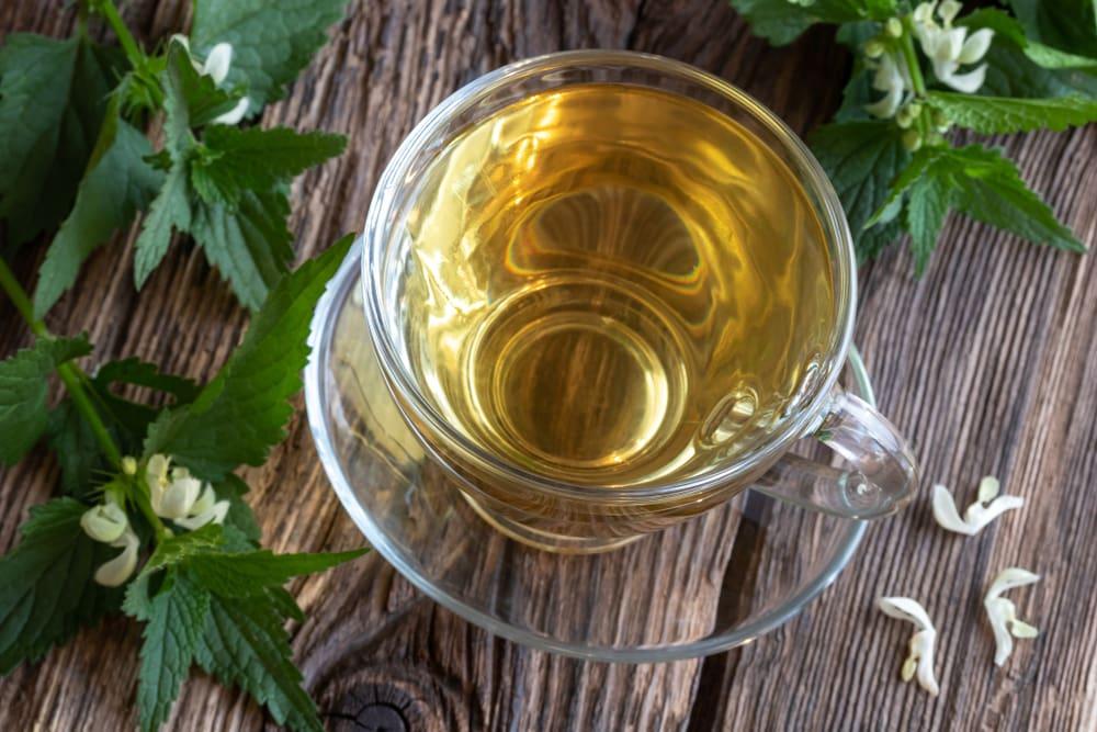 Nettle Leaf Tea