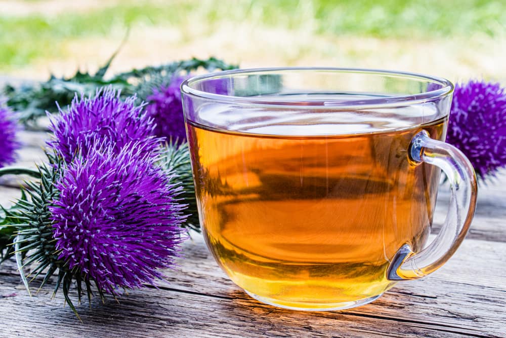 Milk Thistle Tea