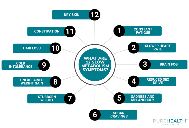 Slow Metabolism Symptoms - Illustration with 12 symptoms