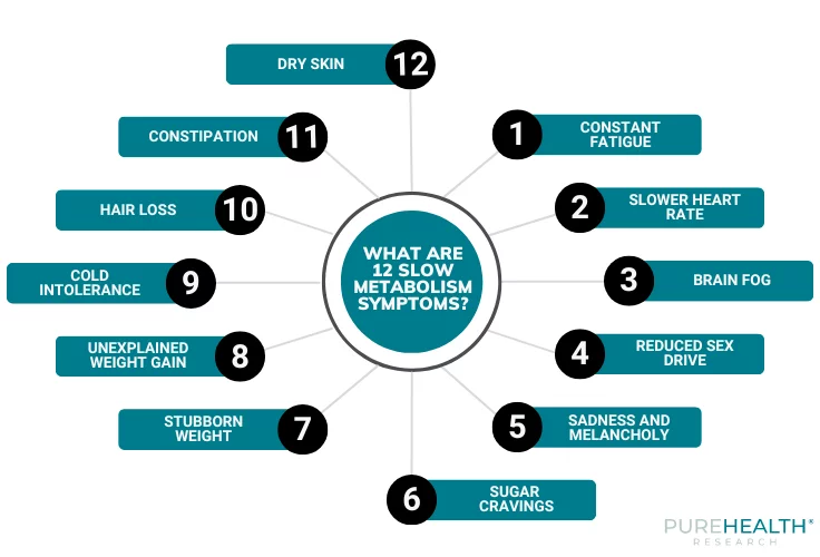 Slow Metabolism Symptoms - Illustration with 12 symptoms