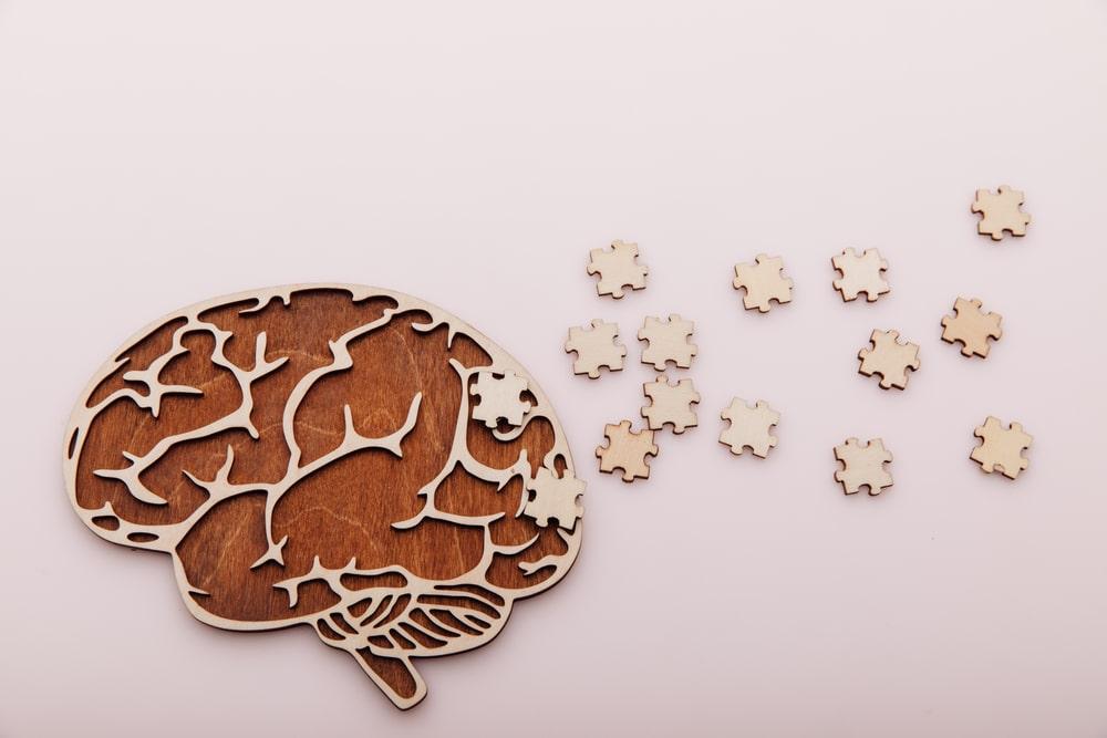 Model of Brain and Wooden Puzzles
