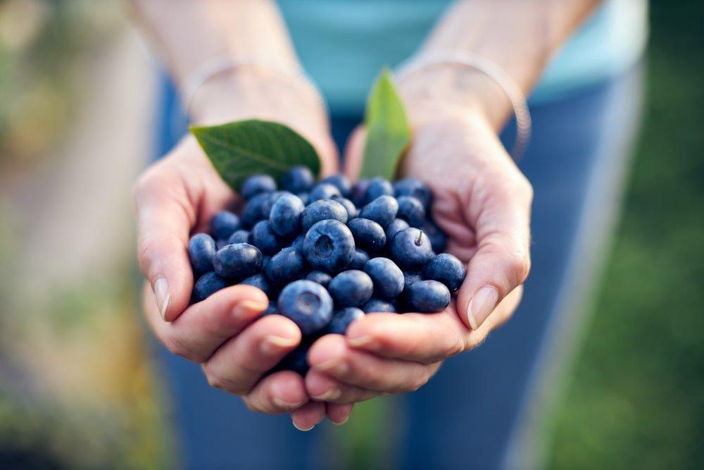 Woman Holding Blueberries