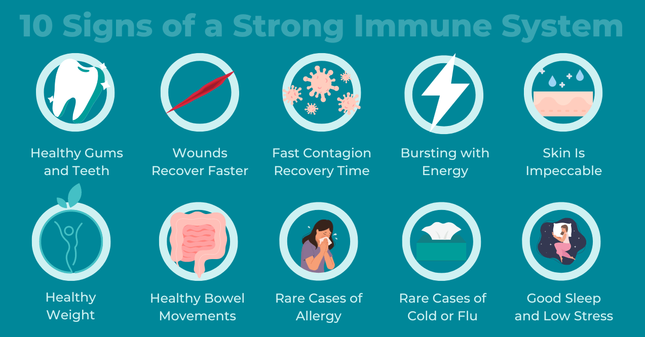 10 Signs of a Strong Immune System Visual