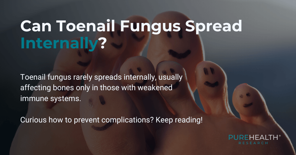 A Visual Briefly Explaining if Fungus Spreads Internally