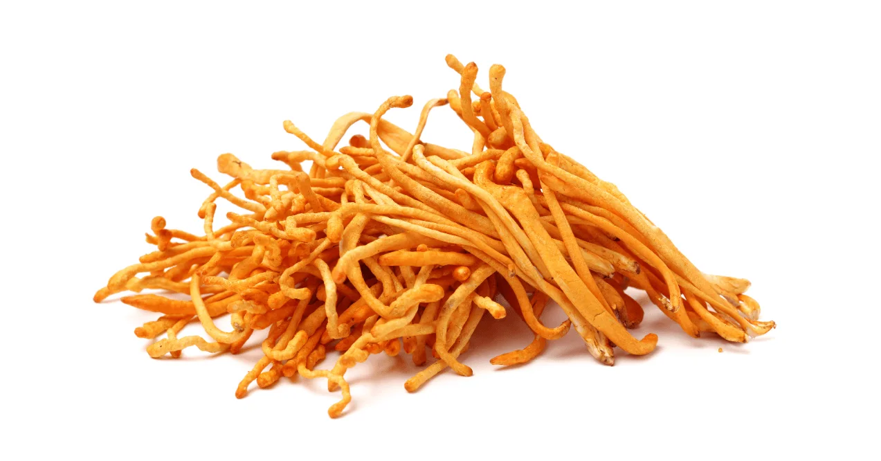 Cordyceps Mushroom