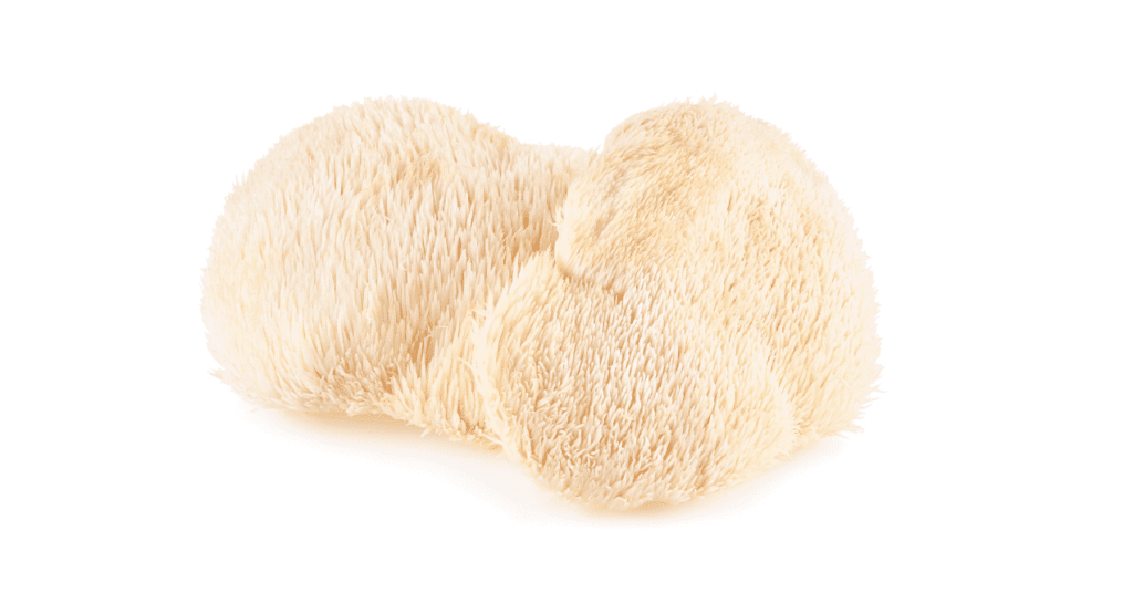 5 Best Mushrooms for Brain Health PureHealth Research