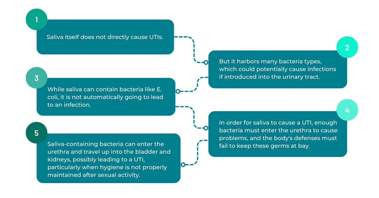 An Infographic on UTIs