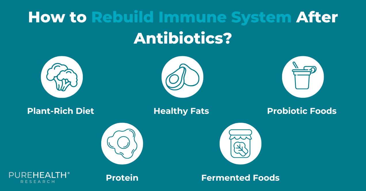 Visual on What to Eat To Rebuild Immune System by Purehealth Research