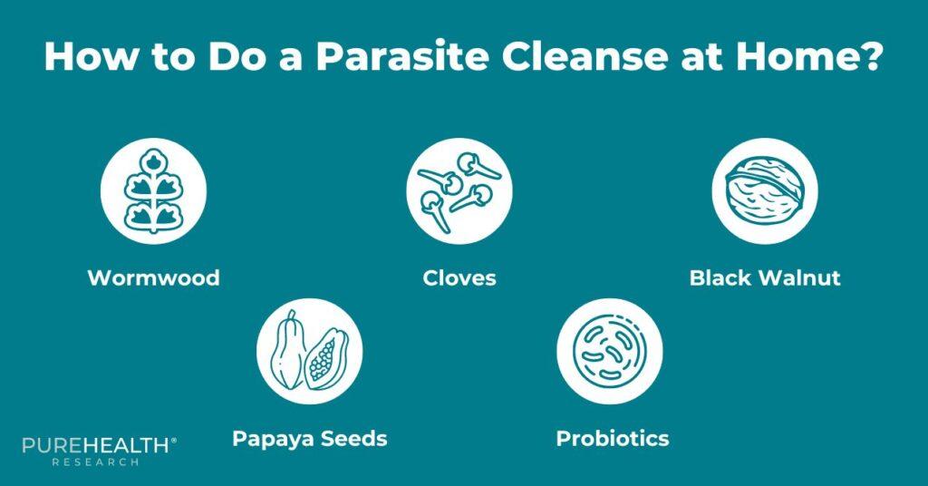 Foods to Use at Home in Order to Cleanse Parasites