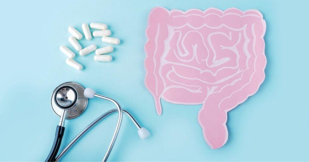 Intestine From Paper, Stethoscope and Probiotics
