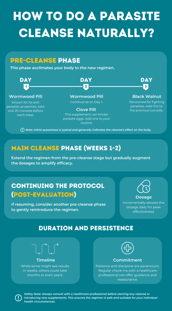 An Infographic on Parasite Cleanse Phases