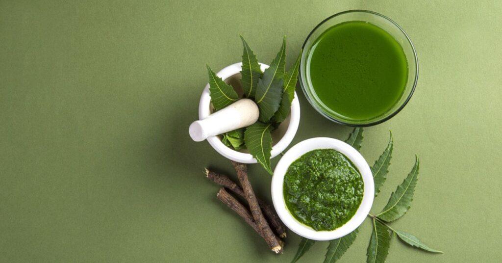 Neem Leaves in Mortar and Pestle With Neem Paste