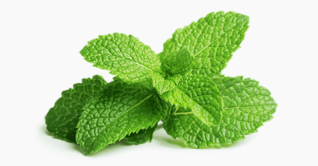 Mint Which Kills Testosterone