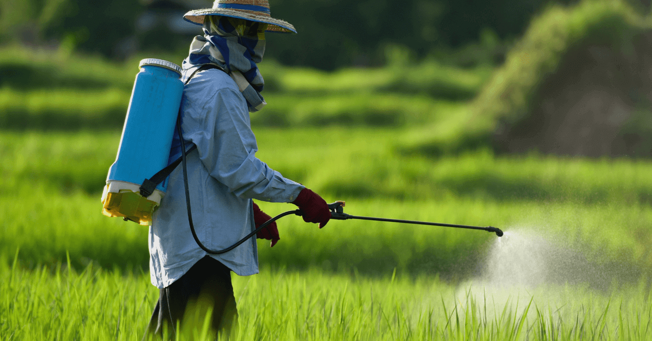 Farmworker Spraying Pesticide-Laden Chemicals on Crops