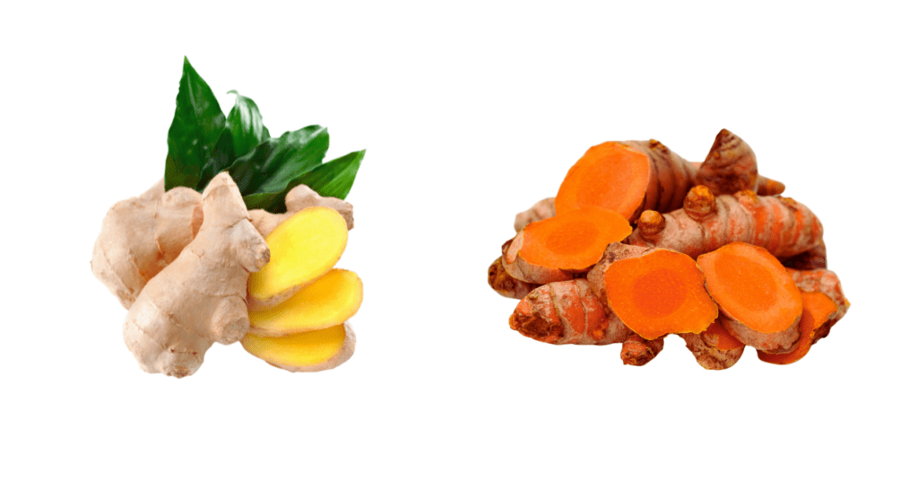 A Comparison of What Is the Difference Between White & Yellow Turmeric