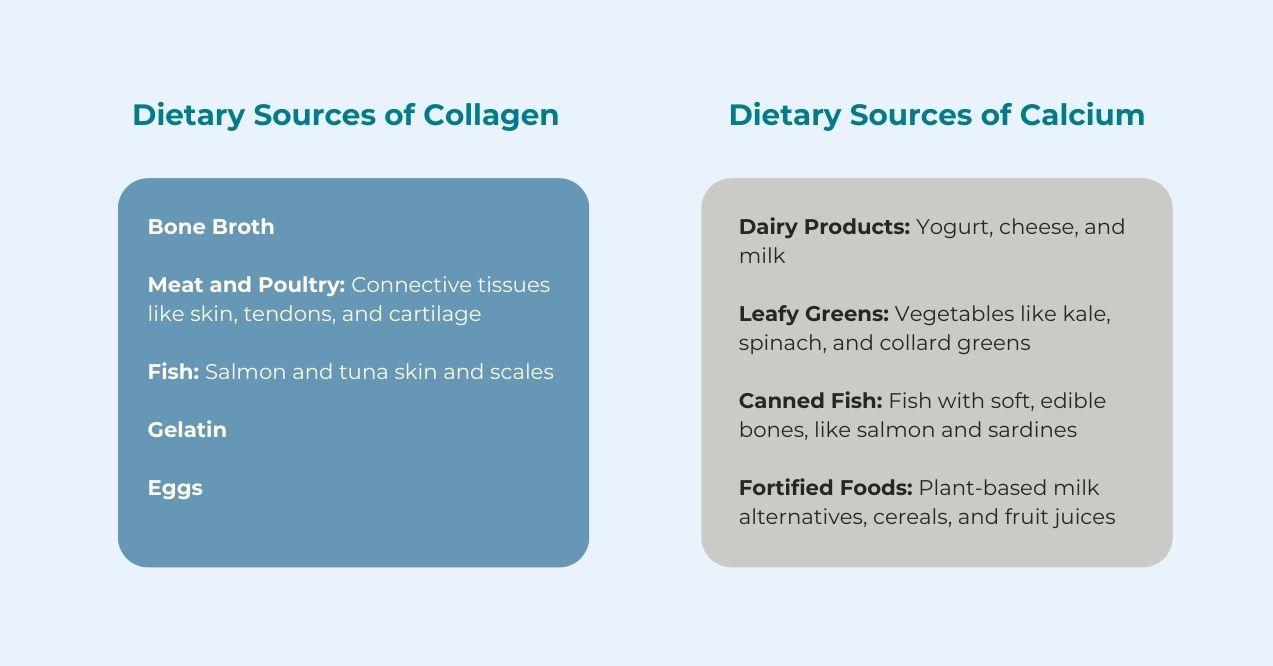 An illustration of two squares with information of specific dietary sources of collagen vs. calcium