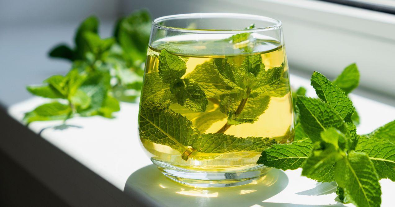 Tea with mint in glass with fresh mint leaves around.