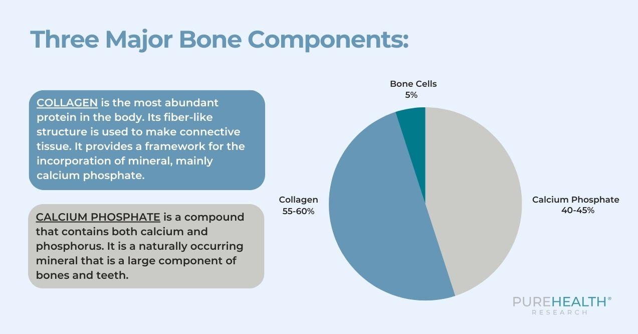 An illustration showing a pie chart with percentage parts of collagen 55-60%, calcium phosphate 40-45% and bone cells 5%