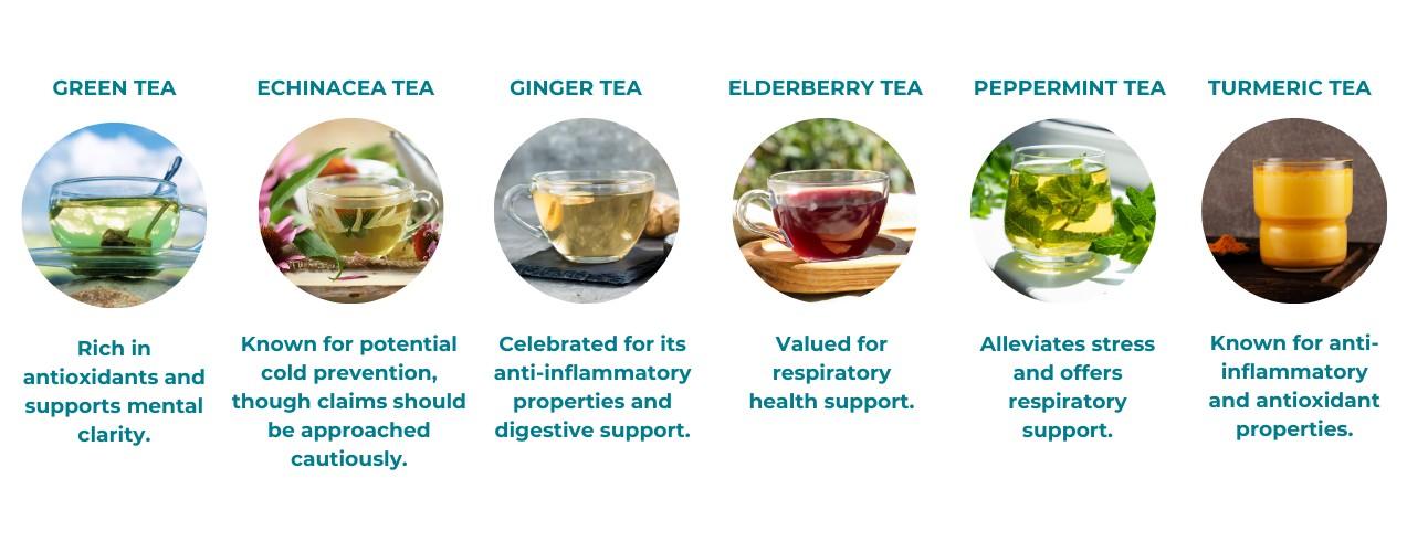 A visual with six teas that support immune system: green, echinacea, ginger, elderberry, peppermint and turmeric teas