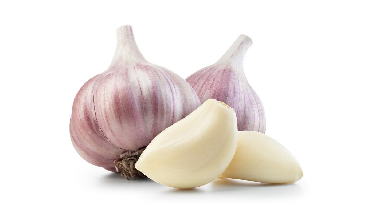 Garlic in white background
