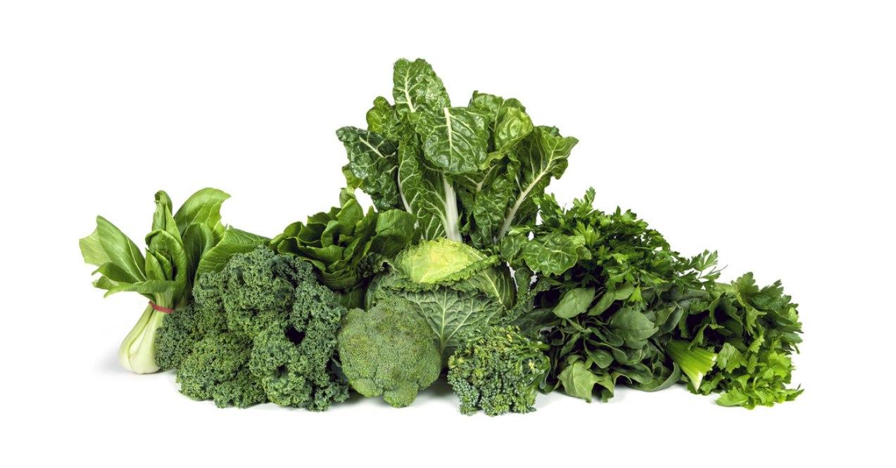 Leafy greens in white background