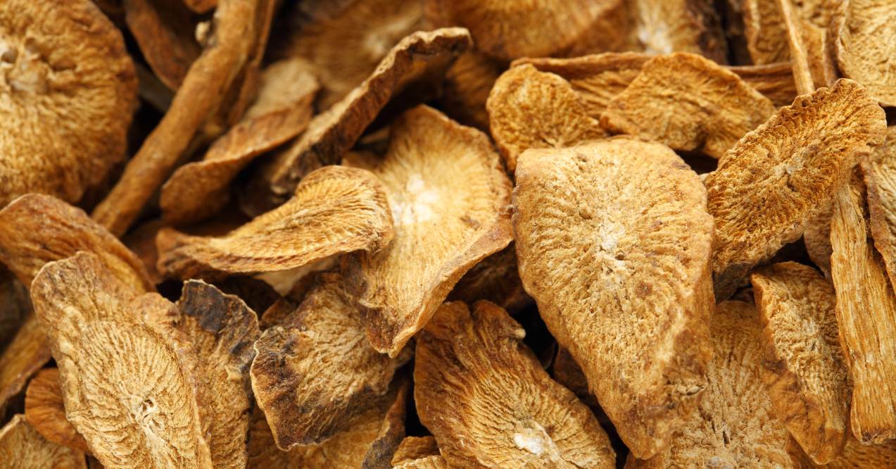 Pile of Dried Burdock Root