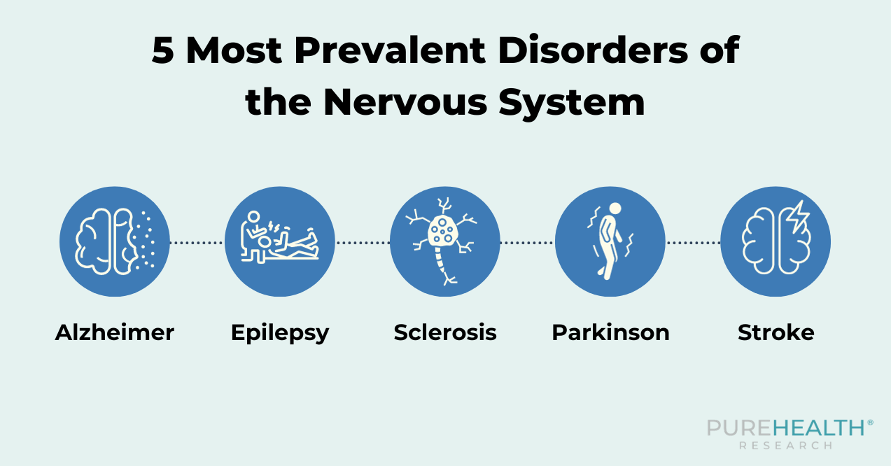 Visual of 5 Most Prevalent Disorders of the Nervous System
