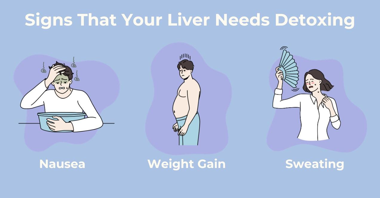 Visual of 3 Sings Indicating That Liver Needs a Detox