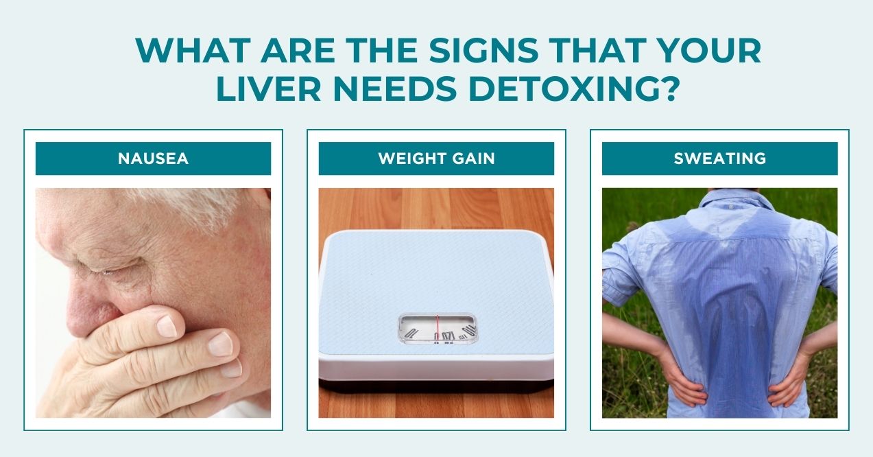 illustration of three signs that signal the need for liver detoxification, which is nausea, weight gain and sweating