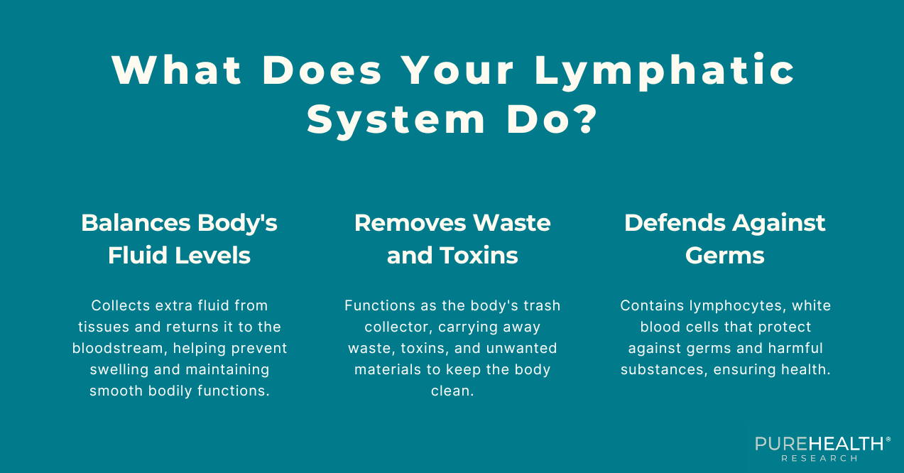 3 Things on What Lymphatic System Does