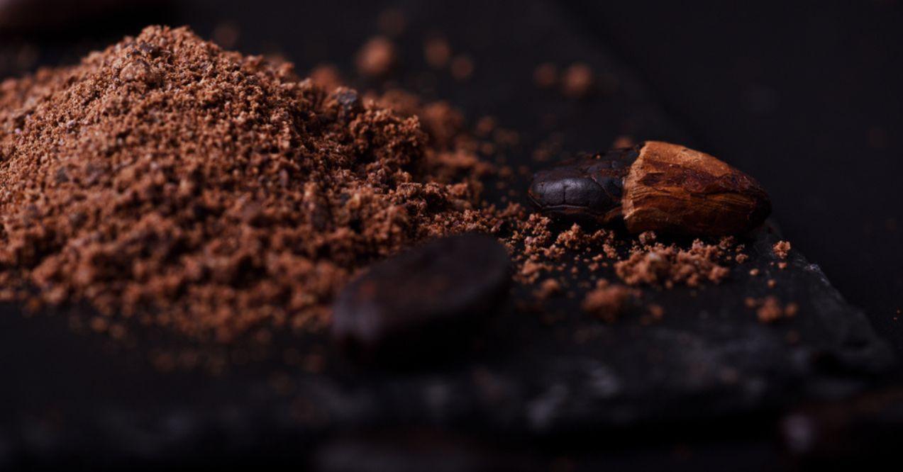 Cocoa beans and cacao powder on dark background