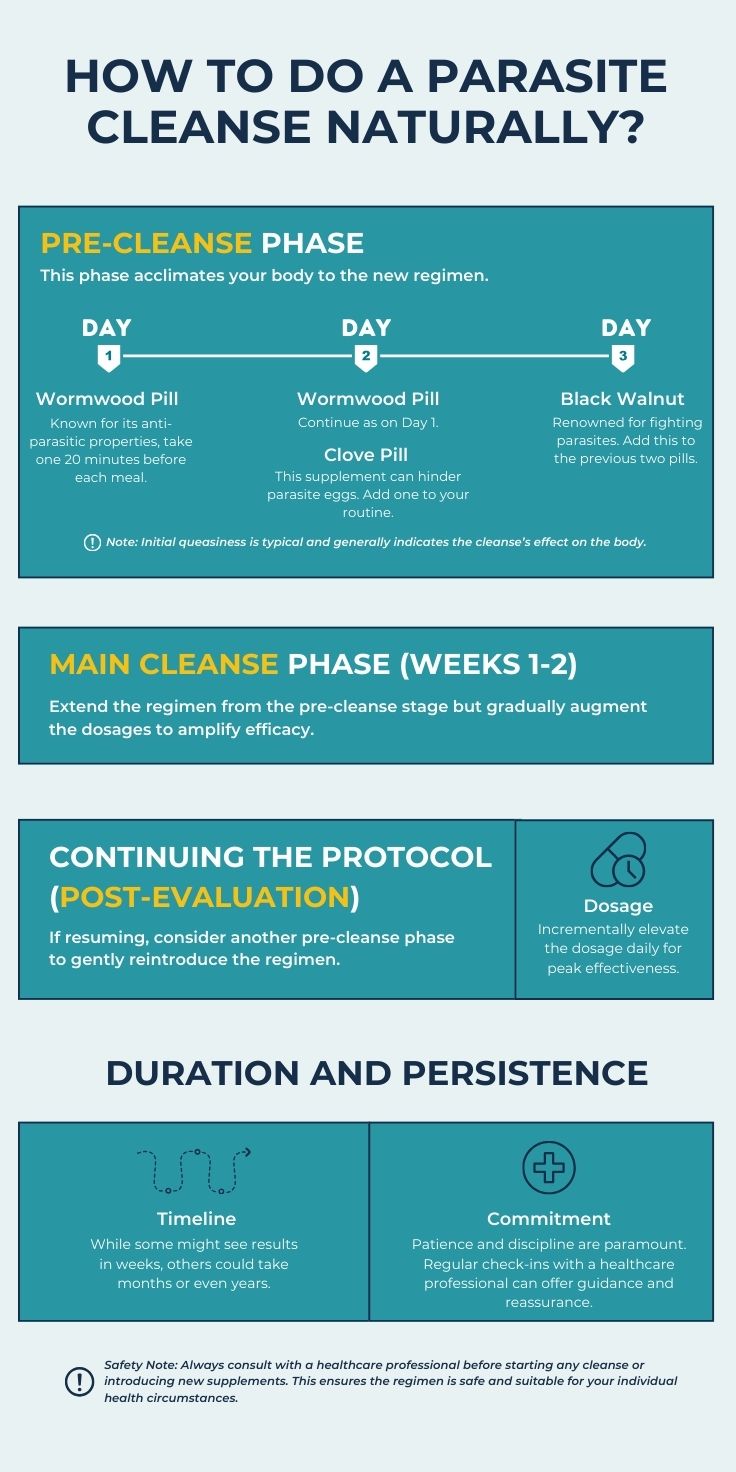 An Infographic on Parasite Cleanse Phases